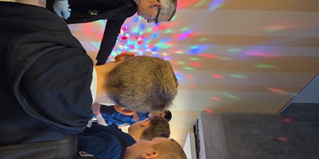 Powiększ grafikę: Uczniowie klasyfikują i poznają kryształy